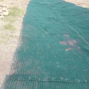 Turf Reinforcement Mats (TRMs)