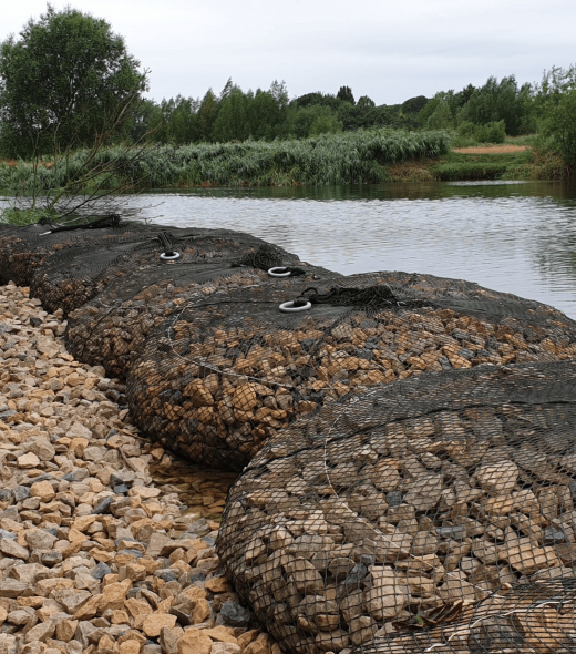 Untitled design - 2025-04-06T192957.487